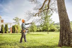 Best Tree Risk Assessment  in Barbourmeade, KY